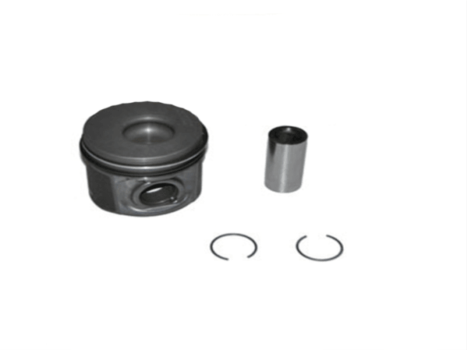 PİSTON SEGMANLI 71797-060