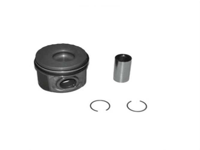 PİSTON SEGMANLI 71797-060